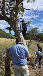 victor's iguana climb